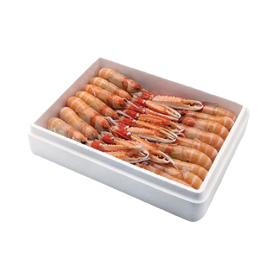 Scampi 20/30 鳌虾 20/30