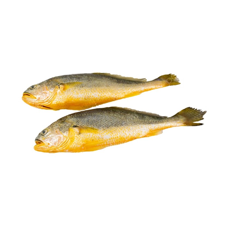 Pesce essiccato grande 大黄鱼