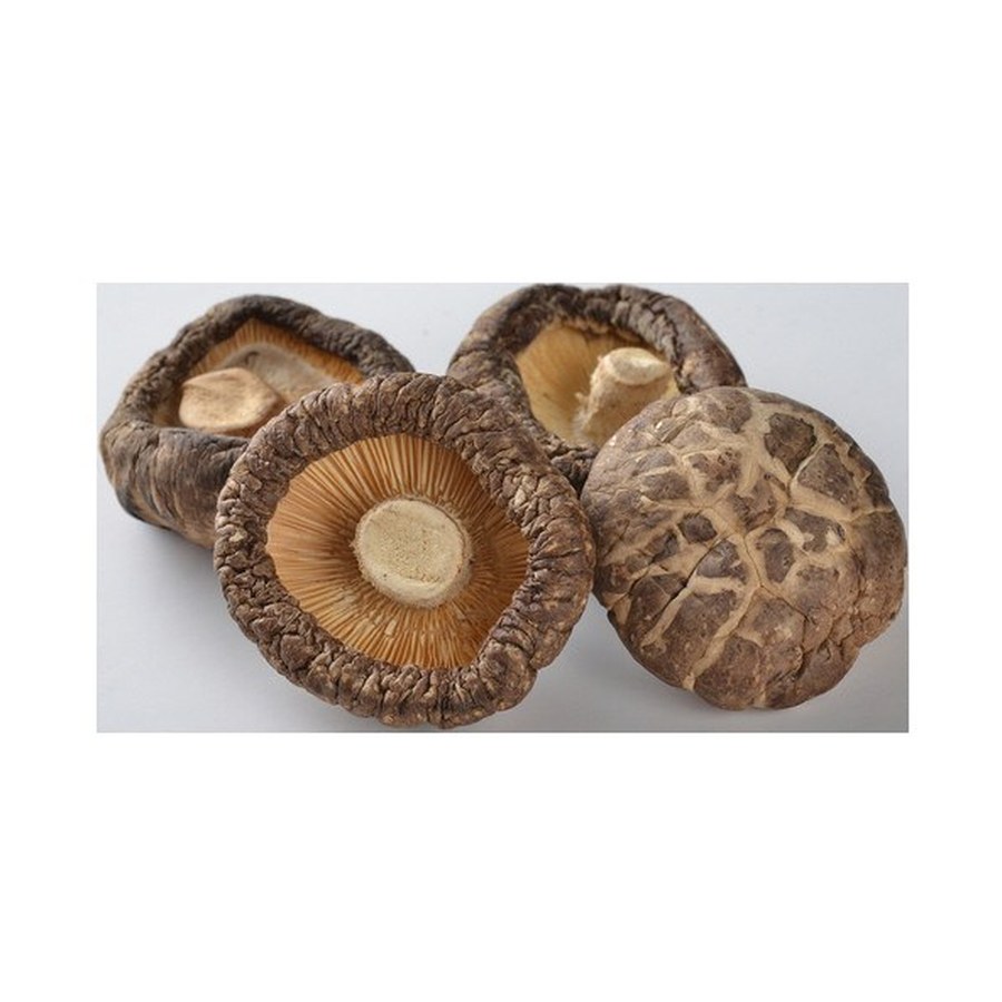 Funghi secchi 干香菇