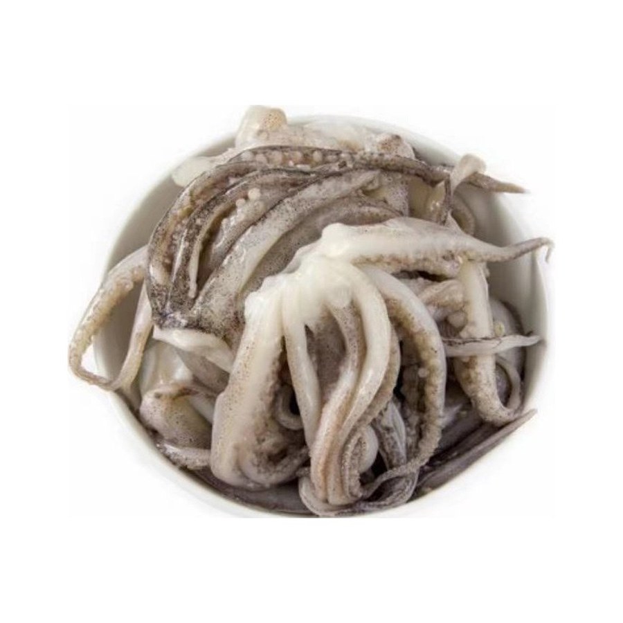 Ciuffi di totano 鱿鱼须