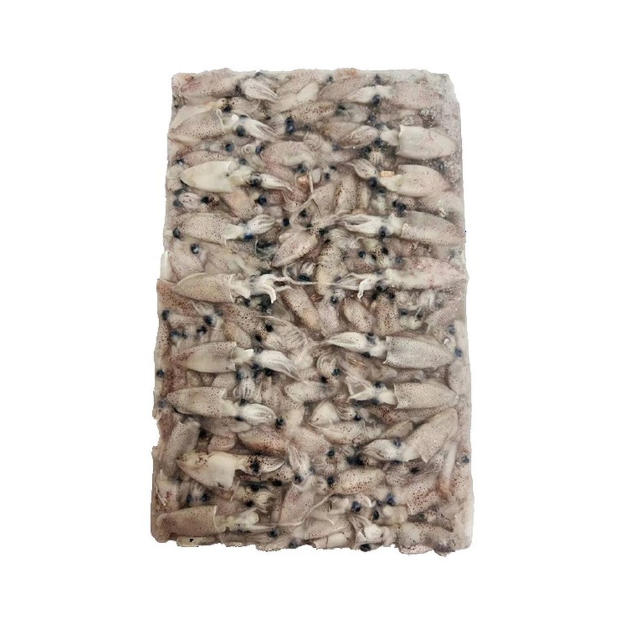 Calamari puntilla Polpo T7 小鱿鱼 小八爪鱼 T7