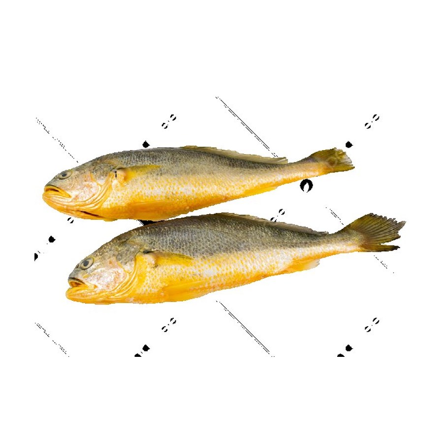 Pesce essiccato grande 大黄鱼