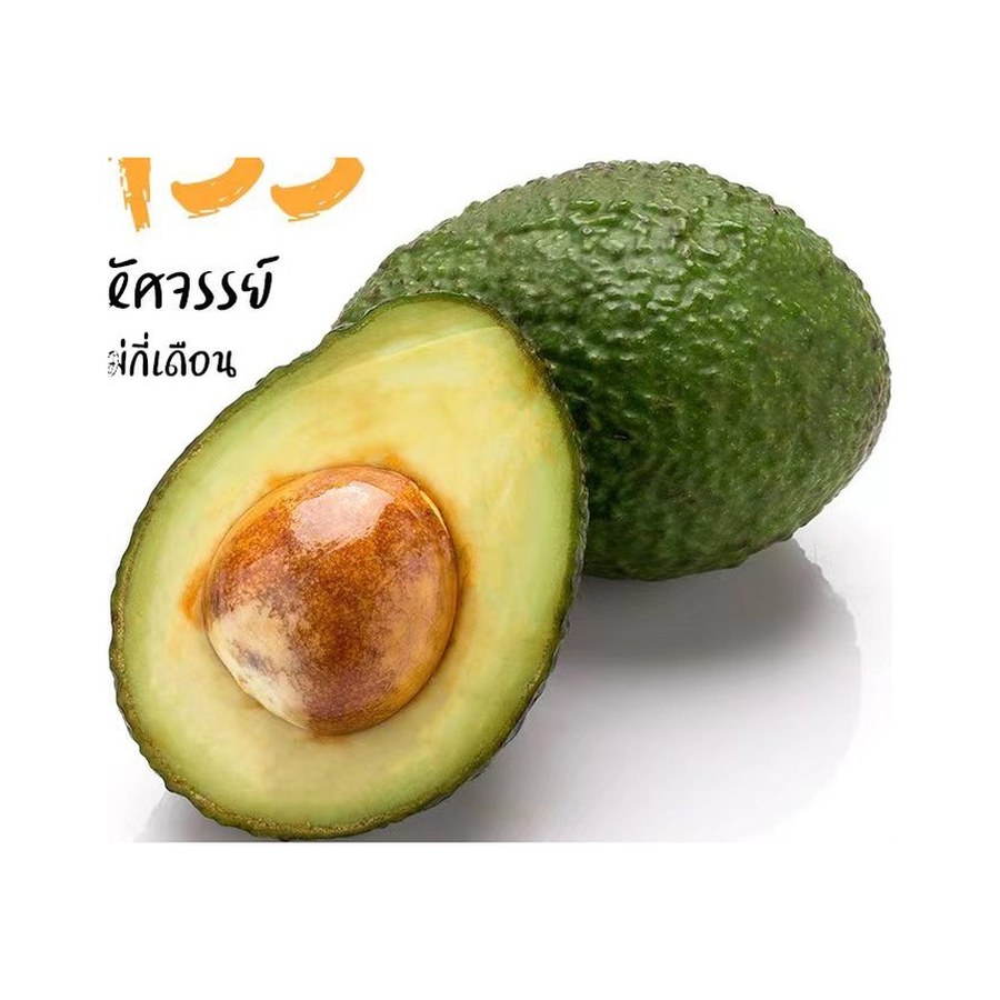 Hass avocado 牛油果